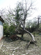 Буря в Кобеляцькому районі