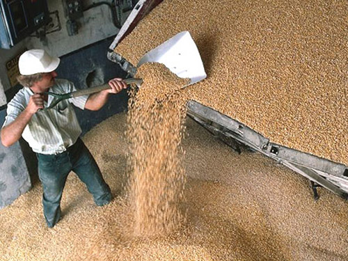 Елеватор готовий приймати зерно