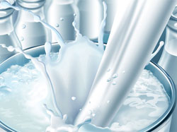 На Полтавщині виробили найбільше молока в Україні