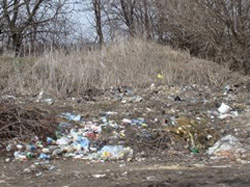 На Диканщині ліквідували 15 сміттєзвалищ