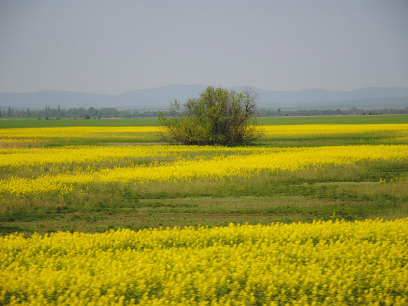 Україна досліджує ефективність управління земельними ресурсами    