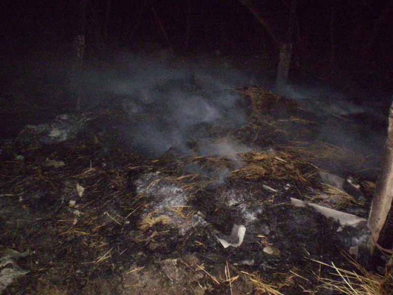 У наслідок пожежі знищено близько 1,5 т соломи