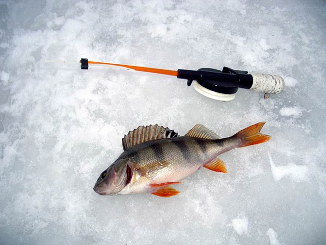 Рибалки думають про плотву, рятувальники — про тонкий лід