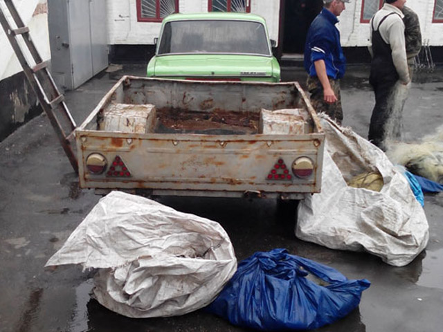 У Кобеляцькому районі працівники ДАІ затримали водія, який перевозив свіжовиловлену рибу