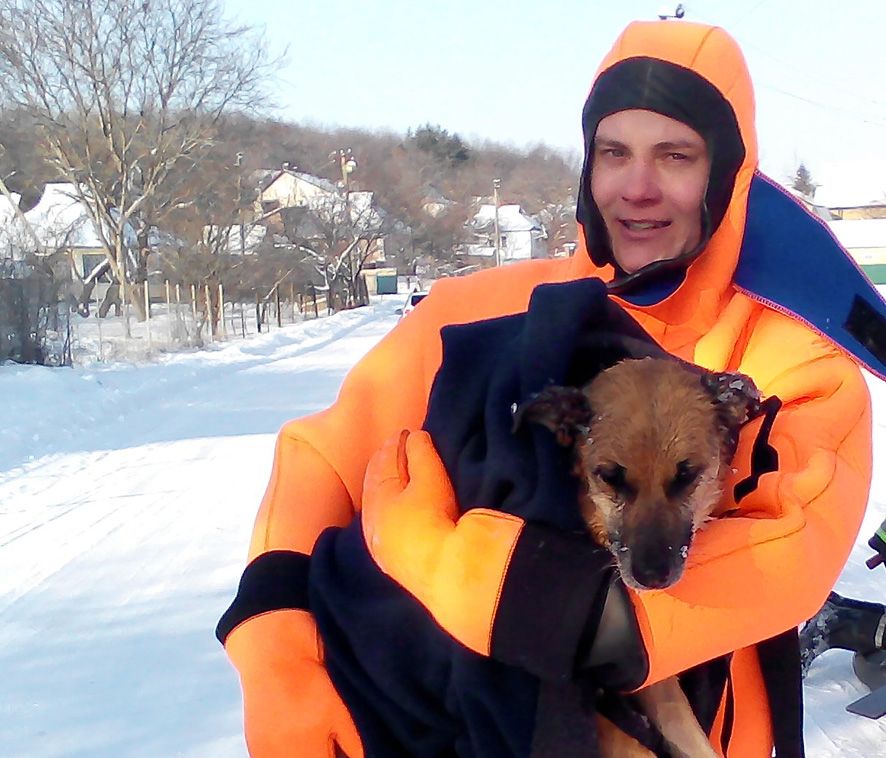 Бійці ДСНС врятували собаку, яка потрапила в крижану річку