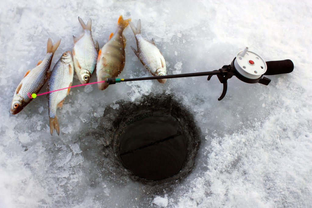 На льду нужно уметь ловить рыбу