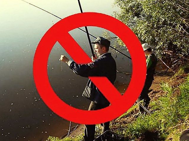З 1 квітня починається нерестова заборона риболовлі