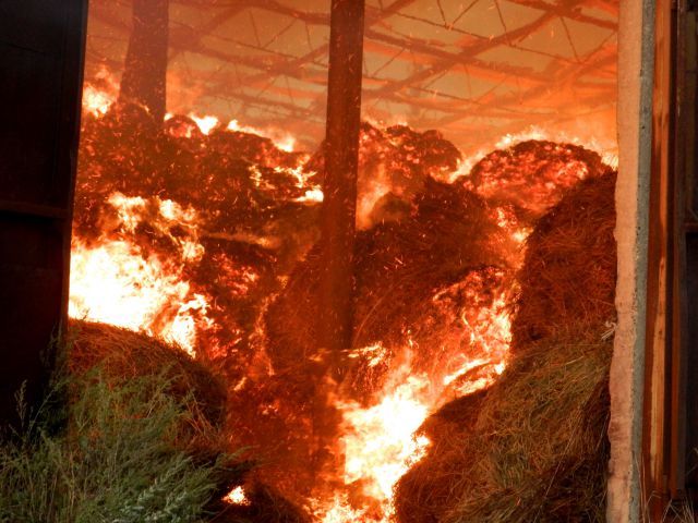 У Новосанжарському району рятувальники ліквідували пожежу в сіннику