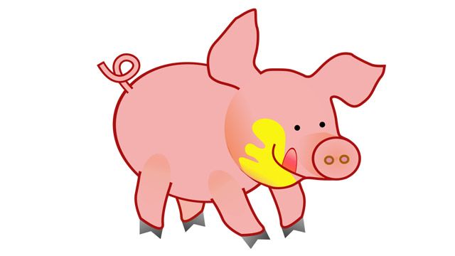 У Лівобережній Сокілці та Орлику потерпають від нашестя свиней