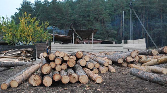 У Полтавському районі затримали злочину групу лісорубів