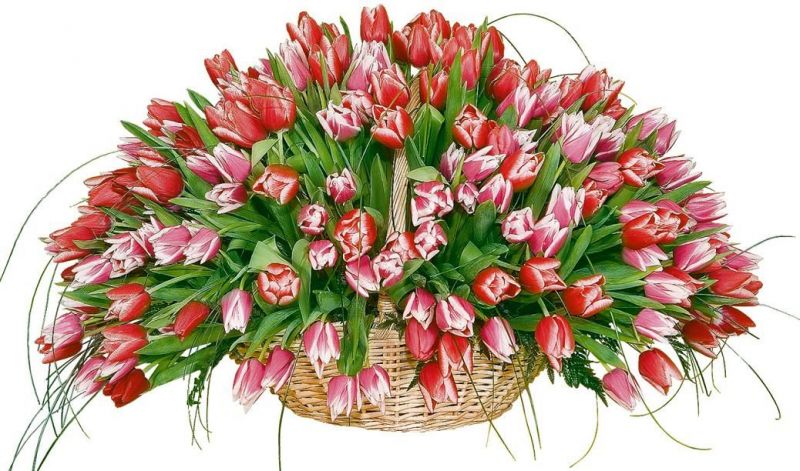 Купить цветы в Днепропетровске