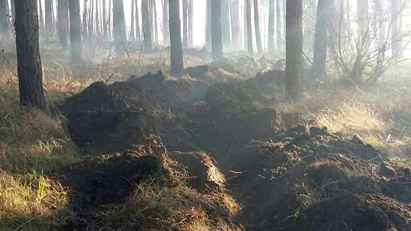 Кременчуцький район: рятувальники ліквідували лісову пожежу