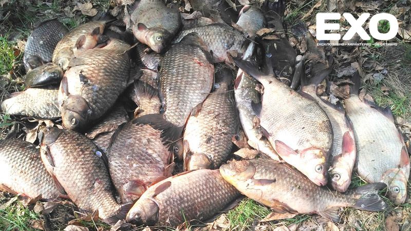Кобеляцькі правоохоронці виявили незаконний вилов риби
