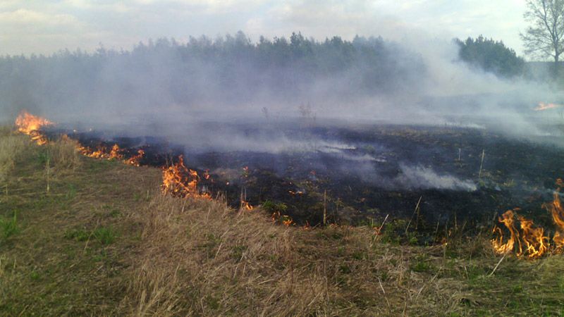 Упродовж минулої доби рятувальники Полтавщини ліквідували 6 загорянь сухої рослинності