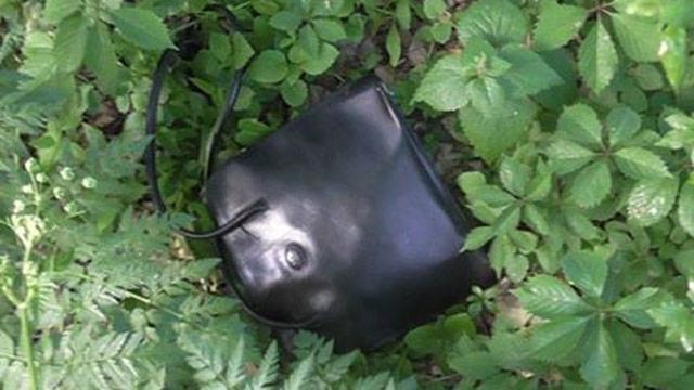 У Лубнах поліцеські затримали чоловіка,я кий побив літню жінку і відібрав її сумку