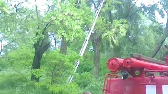 Рятувальники зняли з дерева загиблого кайтсерфінгіста