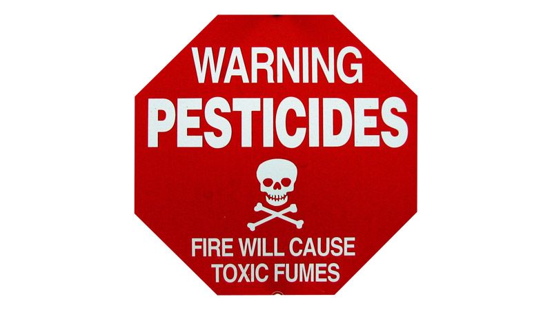 Отруєння пестицидами: лікуватися можна, скаржитися безглуздо