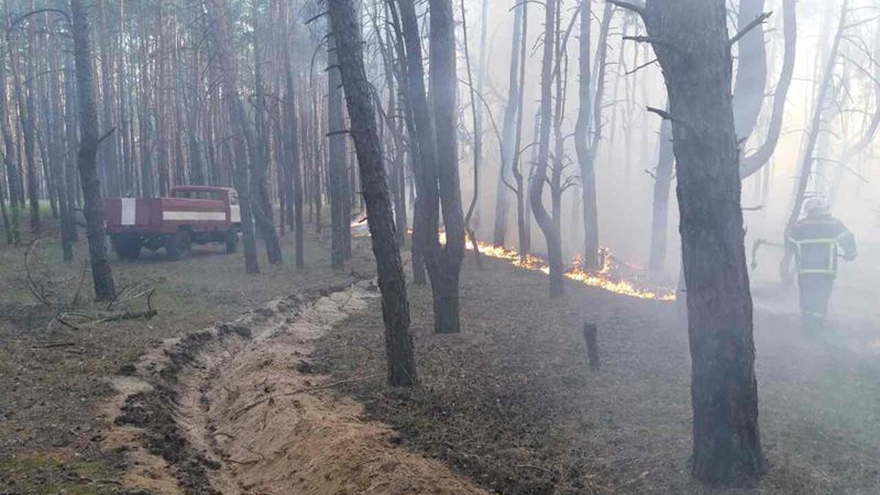 Рятувальники ліквідували пожежу у Малоперещепинському лісництві