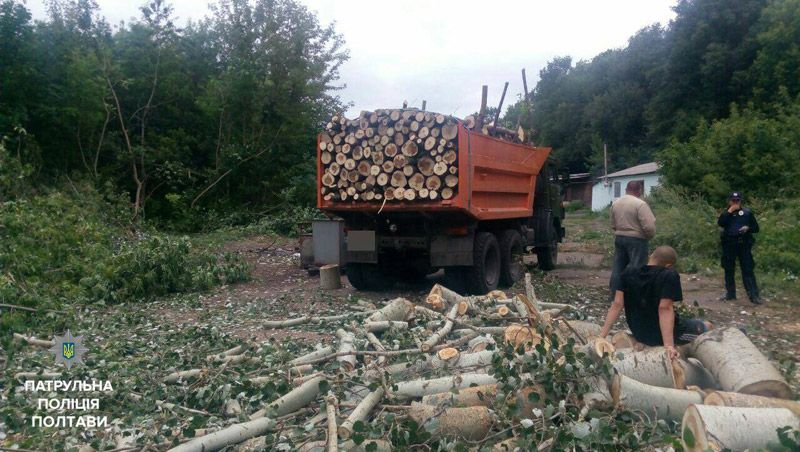 Патрульні Полтави припинили незаконне випилювання деревини