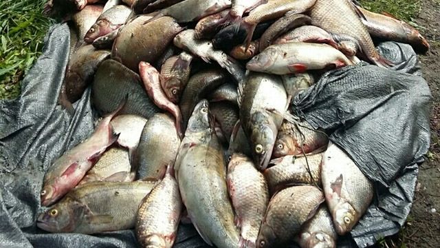 Рибоохоронний патруль затримав браконьєрів, які чинили опір при затриманні