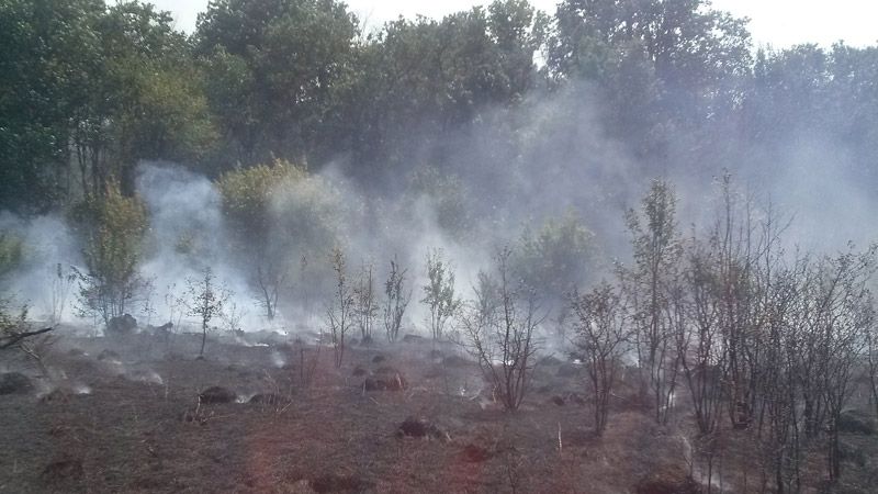 У Полтавському районі гасили пожежу на відкритій території