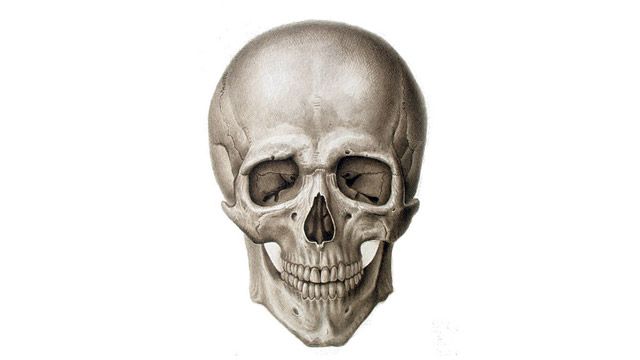 На могилі знайшли людський череп