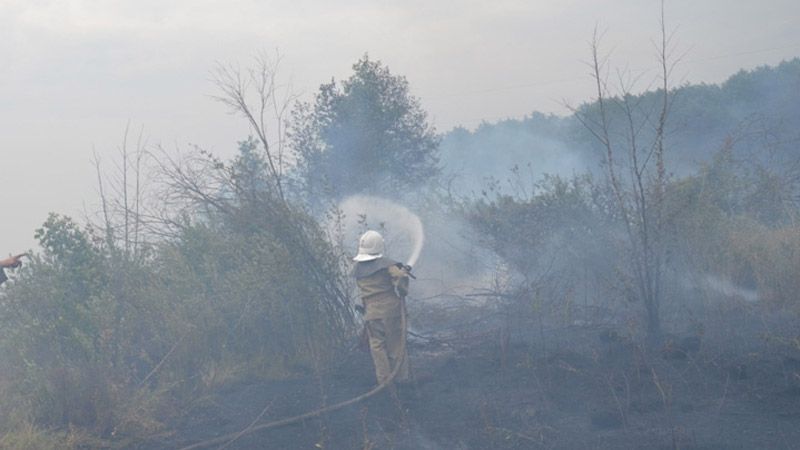 Рятувальники у Козельщинському районі гасили пожежу на площі 1 гектару