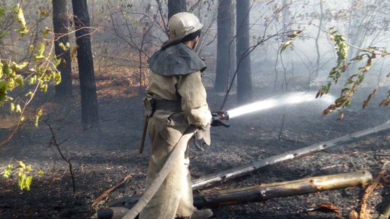 У Котелевському районі рятувальники гасили лісову пожежу