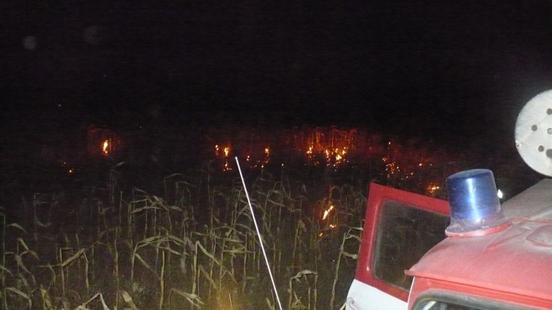 У Кобеляцькому районі гасили пожежу на кукурудзяному полі