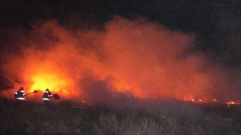 У Решетилівському районі рятувальники годину гасили пожежу на відкритій території