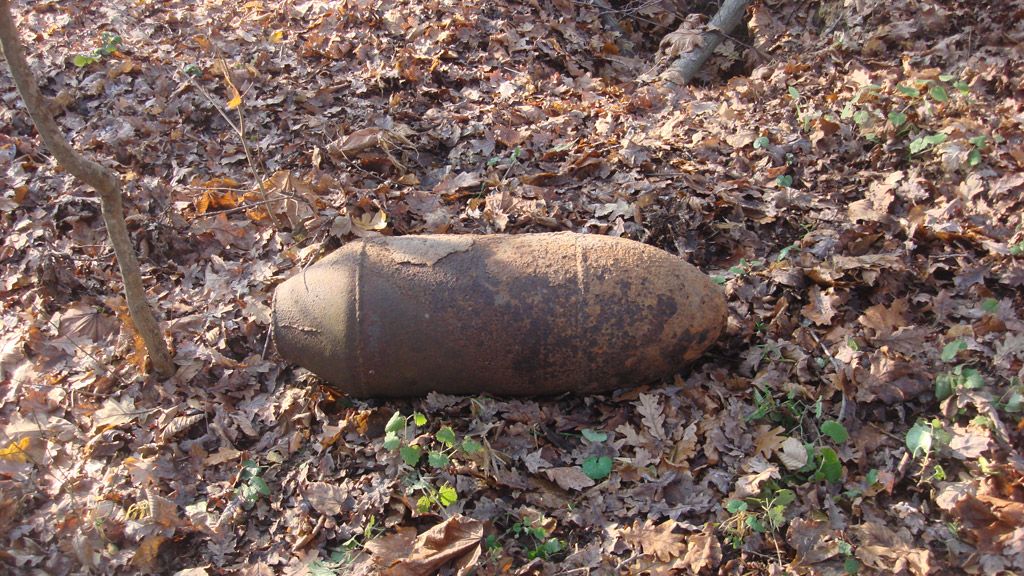У Лубенському районі піротехніки ліквідували бомбу