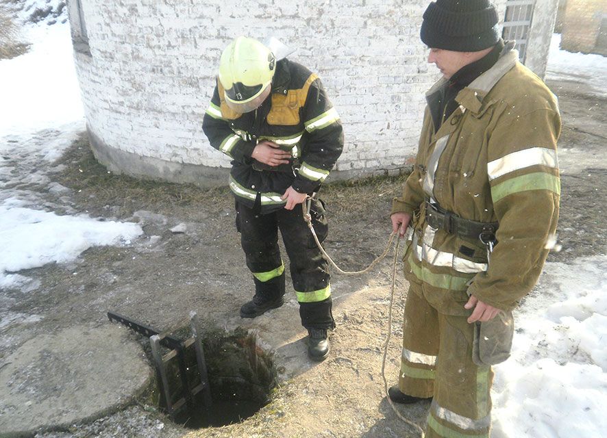 У Пирятині рятувальники витягли собаку з каналізаційного колодязя