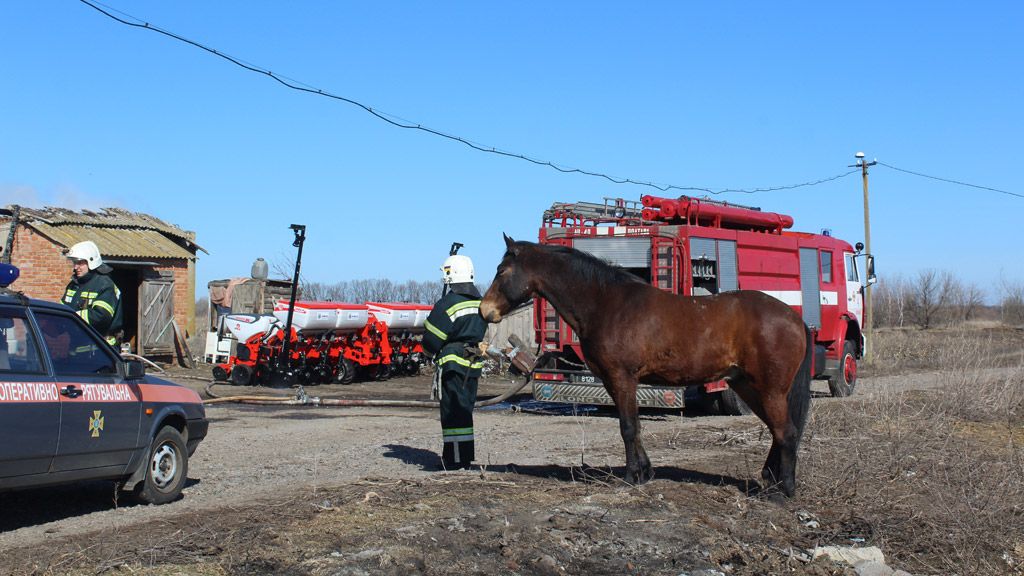 У пожежі загинув полтавець, врятували лише коня
