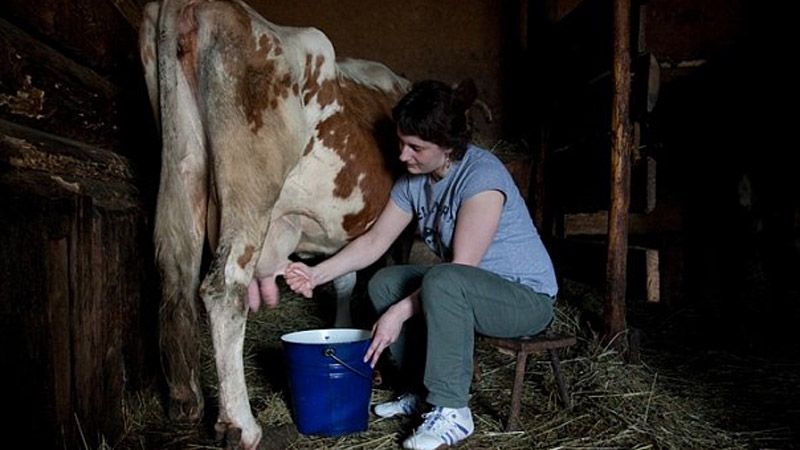 Заборони поки не буде: молоко у населення продовжать закуповувати ще кілька років