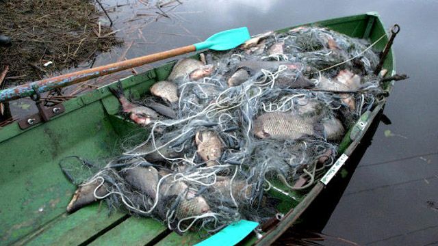 За червень Полтавський рибний патруль викрив більше 300 порушень