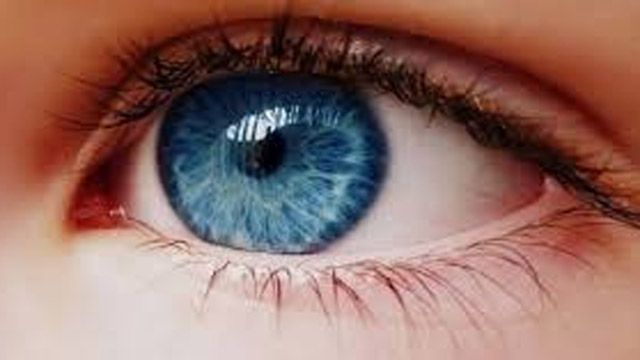 Лечение глаукомы: как не лишится зрения