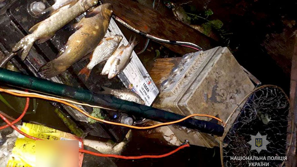 «Нічний рибалка» електровудкою наловив 23 кілограми риби