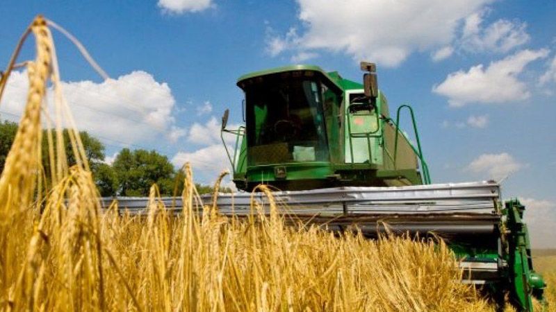 На Полтавщині вже намолотили 2 млн тонн зерна