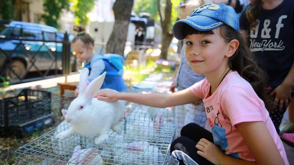 У Кременчуці відбулася Всеукраїнська виставка голубів та домашніх улюбленців