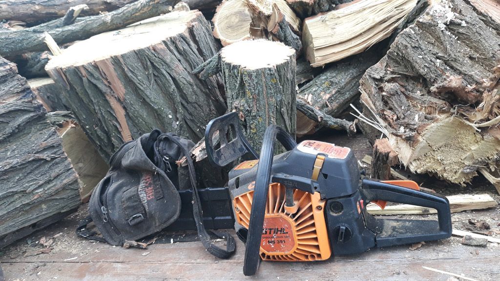 Кобеляцька місцева прокуратура направила до суду обвинувальний акт щодо незаконної порубки дерев у лісосмузі