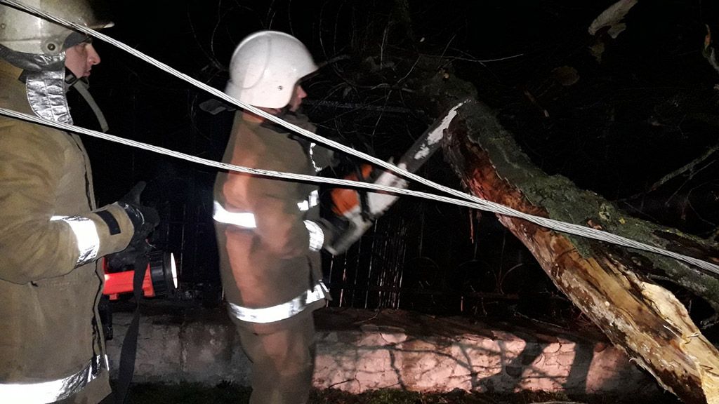 У Кременчуці внаслідок сильного вітру на високовольтні дроти упало дерево