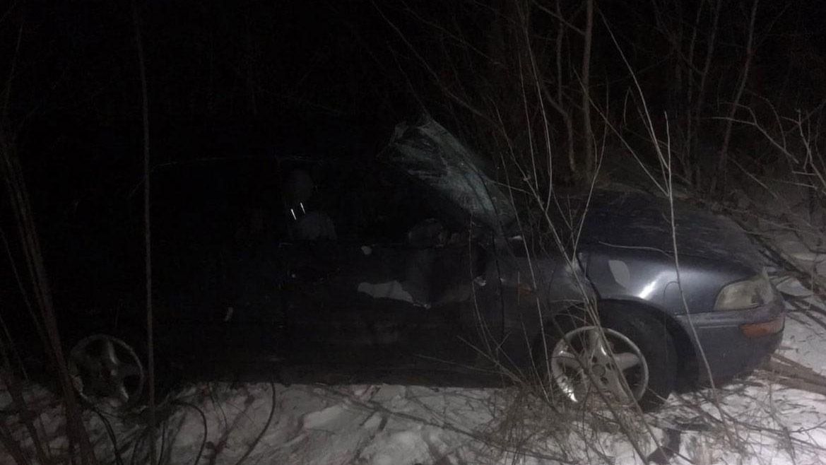 На Полтавщині «Тойота» злетіла у кювет - водій загинув