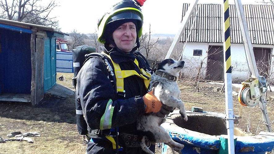 На Зіньківщині рятувальники витягли собаку із колодязя