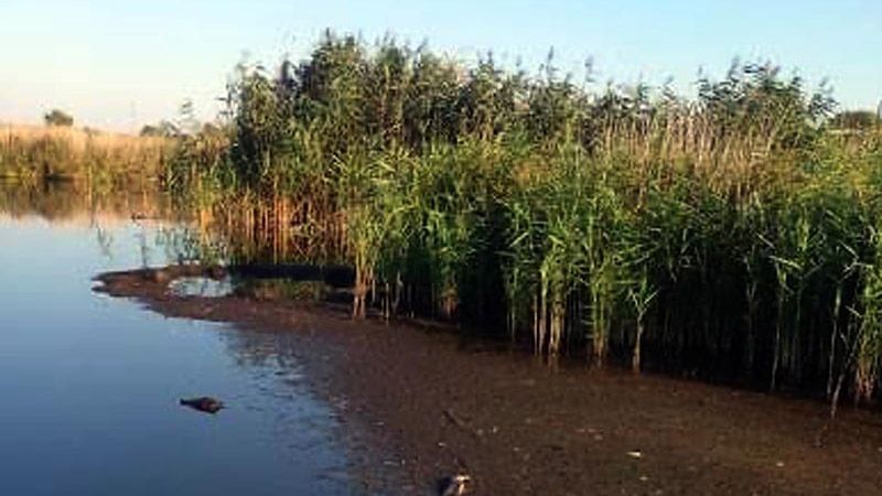 Поліція почала розслідування за фактом забруднення вод у Кременчуцькому районі
