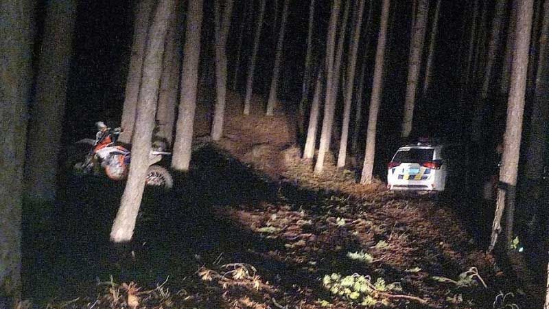У лісі на Миргородщині загинув мотоцикліст, зіткнувшись з деревом