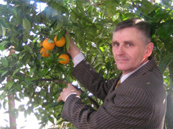 Урожаї апельсинів збирають на Полтавщині