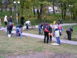 У парку Перемоги посадили 15 хвойних дерев