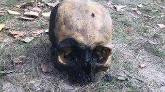 У річці знайдено череп людини
