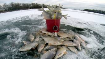 За зимову ловлю риби можуть оштрафувати чи обмежити волю