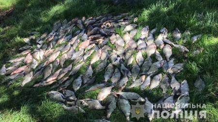 На Полтавщині поліція розслідує 92 кримінальних провадження за фактами незаконного вилову риби
